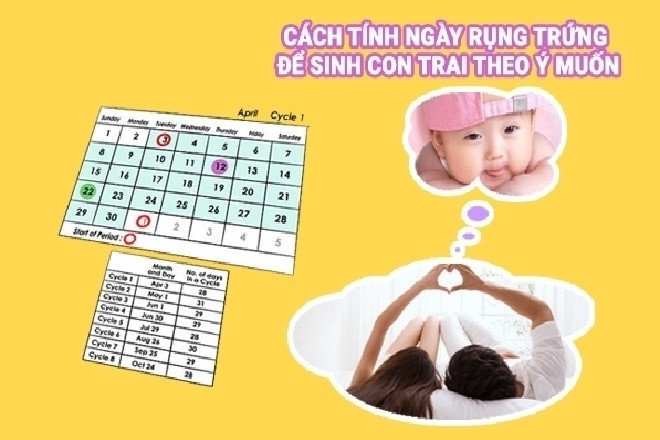 cách tính ngày rụng trứng để mang thai con trai