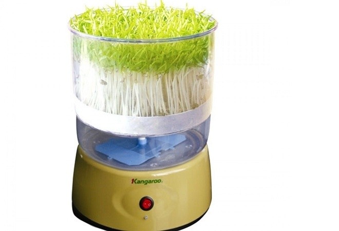 máy làm giá đỗ kangaroo
