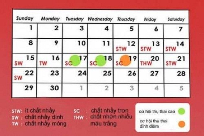 cách tính ngày rụng trứng để mang thai con trai dựa theo dịch nhầy