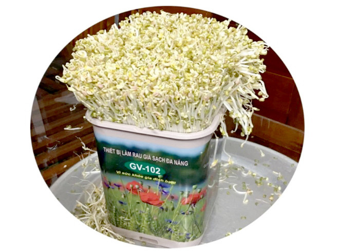 Máy làm giá đỗ GV-102