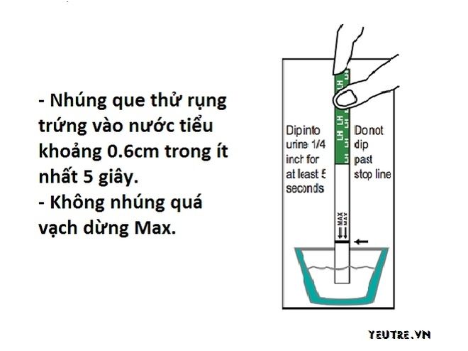 nhúng que thử rụng trứng vào nước tiểu