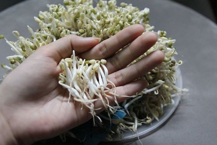 thu hoạch giá từ máy bkst