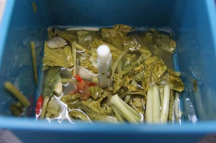 máy làm giá đỗ bkst có thể muối dưa cà