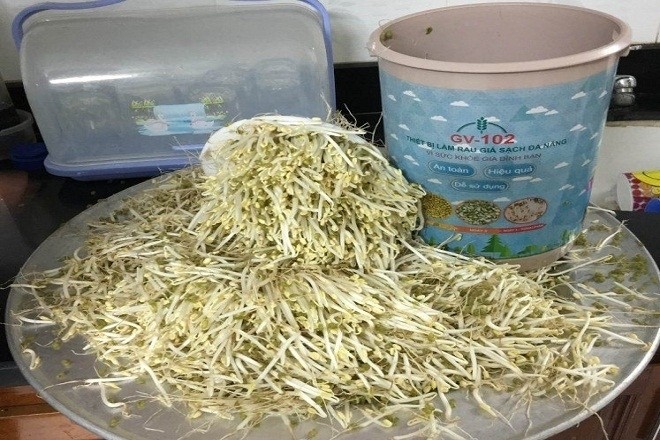 thiết bị làm giá tại nhà cho năng suất cao