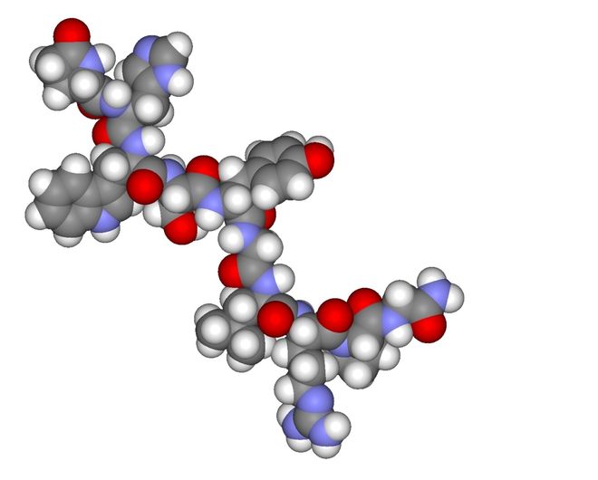 hormone hcg