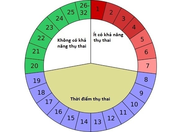 bảng tính chu kỳ kinh nguyệt