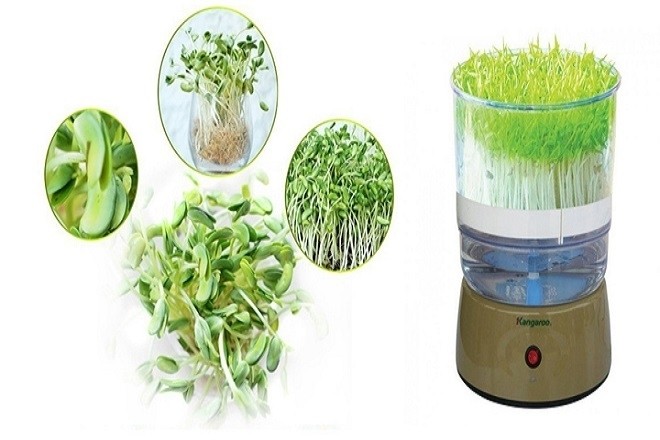 Máy làm giá đỗ tốt nhất Kangaroo KG262