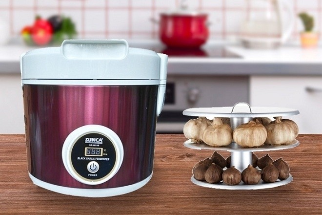 máy làm tỏi đen sunca sfg100