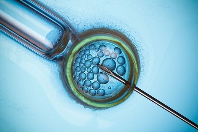 quá trình tách lấy trứng khỏi nang trứng