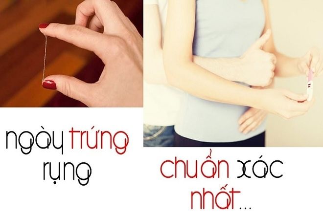 cách tính ngày rụng trứng