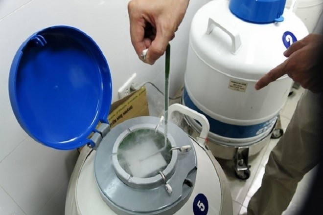 phôi đạt chất lượng được trữ lại trong bình nito lỏng