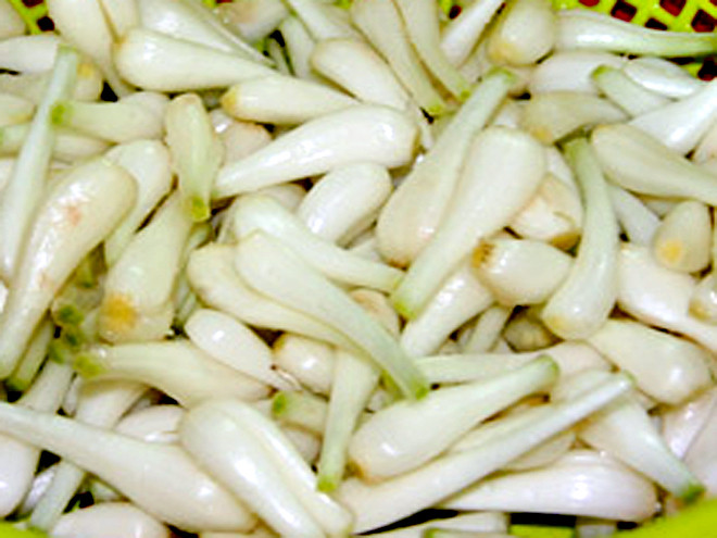 Sơ chế kiệu