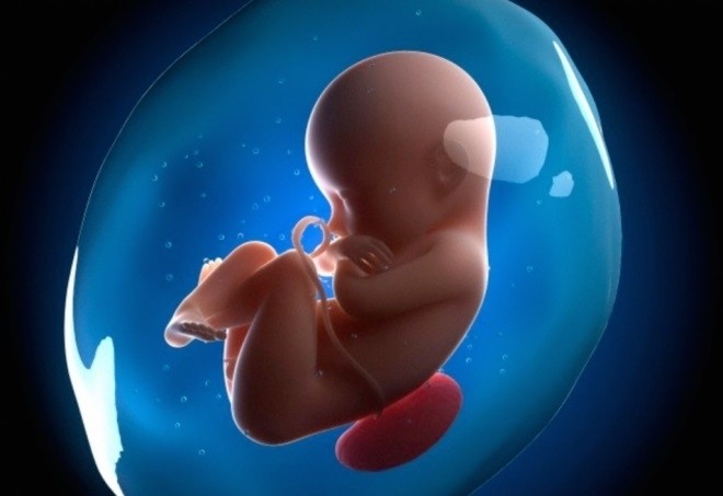 Nước ối là môi trường sống của thai nhi