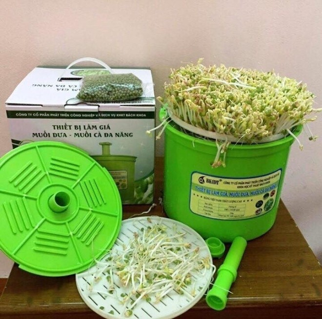 Máy làm già đỗ bkidt