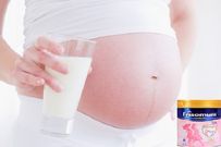 Đánh giá sữa Friso cho bà bầu - Frisomum Gold dòng sữa nổi tiếng xuất xứ Hà Lan