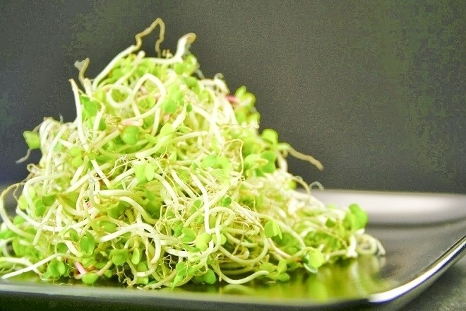 rau mầm giá đỗ