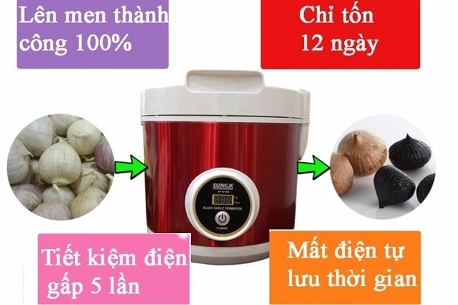 máy làm tỏi đen sunca sf g100