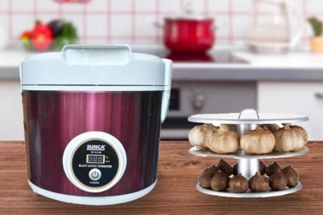 máy làm tỏi đen sunca sf g100 và khay đựng tỏi