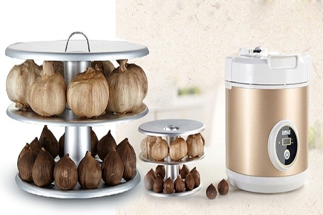 máy làm tỏi đen Sunca FS G100