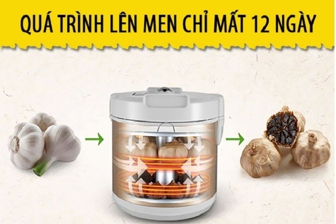 cách làm tỏi đen bằng máy Tiross TS904