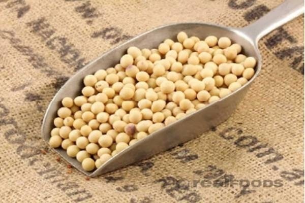 Kết quả hình ảnh cho bột đậu tương