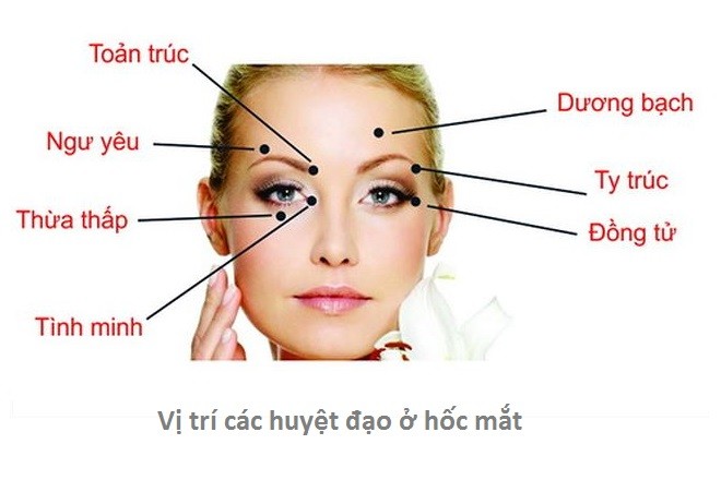 các huyệt đạo trên mắt