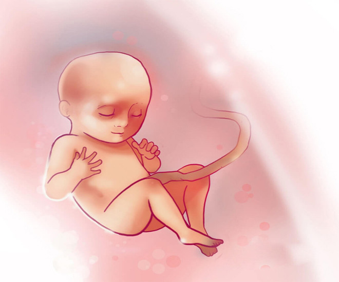 Âm nhạc kích thích thính giác thai nhi phát triển