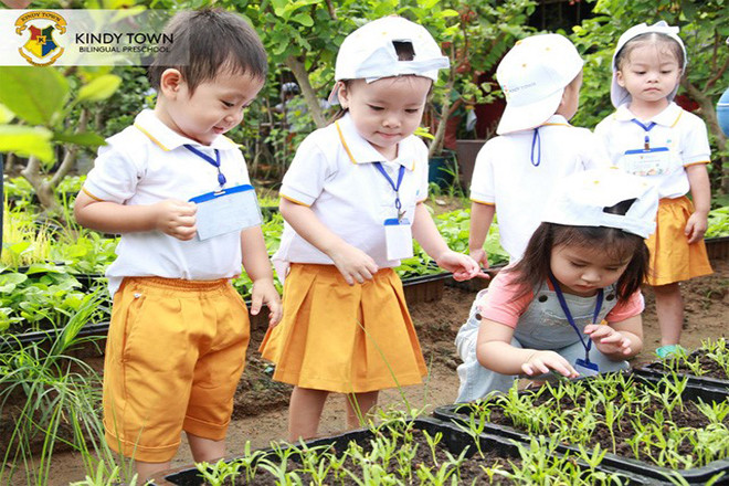 Các bé ở Trường Mầm non Kindy Town học hỏi ở sân vườn