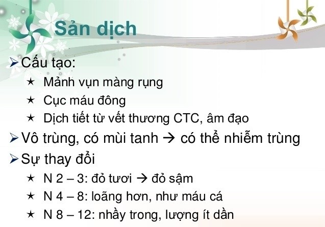 Cấu tạo sản dịch