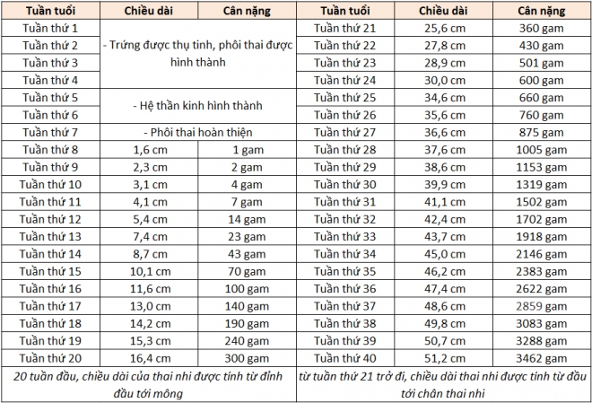 7 cach tinh can nang thai nhi theo tuan tuoi me bau can nam ro 4