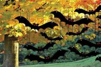 6 ý tưởng trang trí Halloween 2018 ngoài trời đơn giản nhưng đủ khiến hàng xóm phải...giật mình!