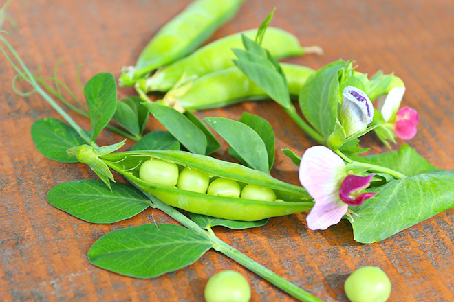 Các loại đậu