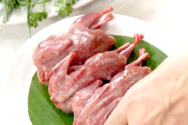 Sơ chế chim cút