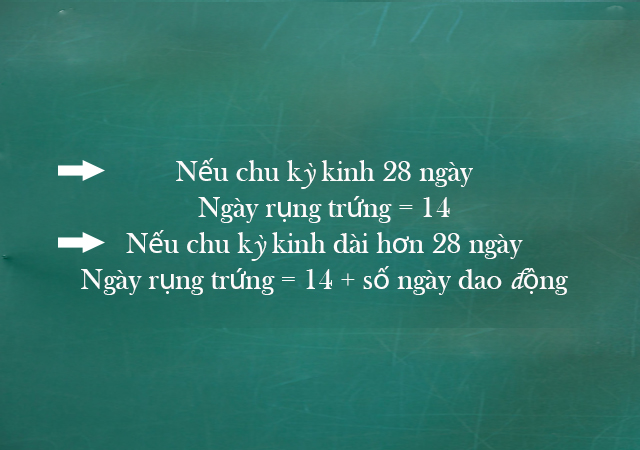 Cách tính ngày rụng trứng