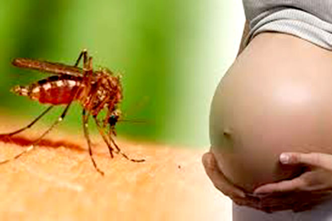Phụ nữ mang thai cẩn thận trước dịch zika