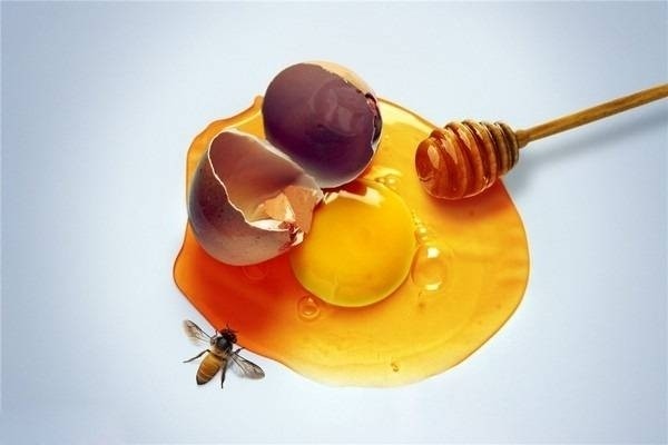 Mặt nạ tự nhiên cho da khô từ trứng gà