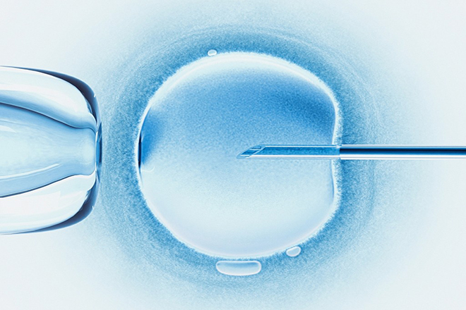 Chất lượng trứng được xem là nguyên nhân gây vô sinh ở phụ nữ