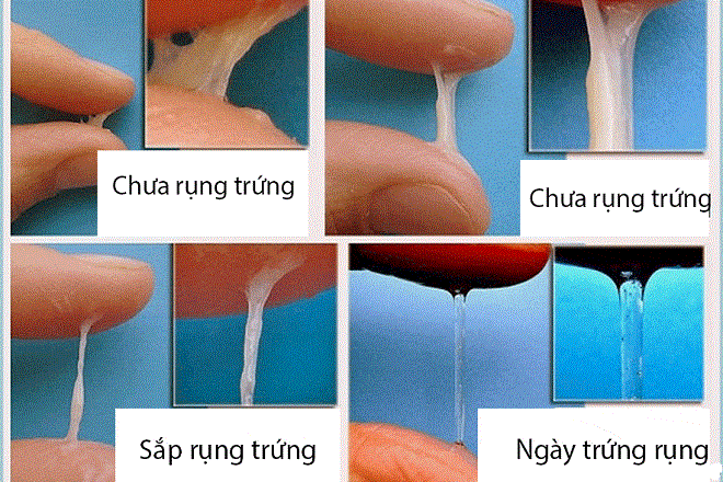dịch nhầy
