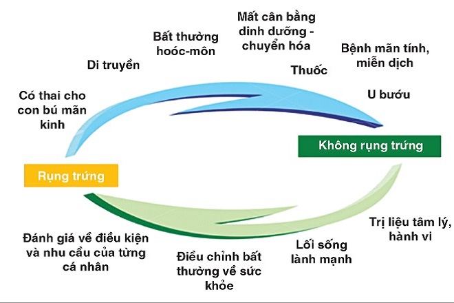 rụng trứng