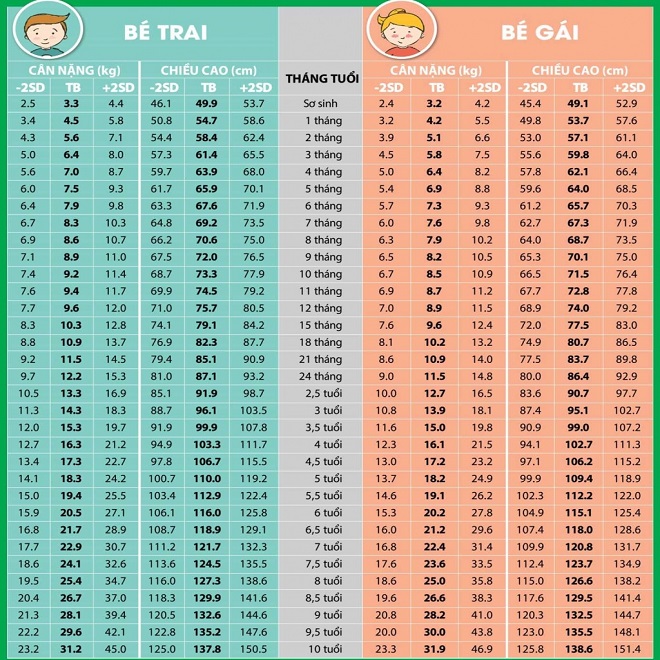 Bảng chiều cao cân nặng chuẩn của trẻ từ 0 10 tuổi