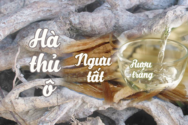 Bài thuốc đông y