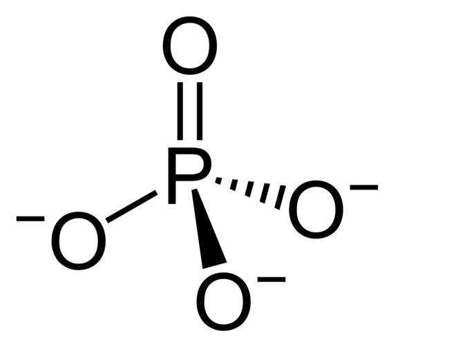 Nguyên nhân gây còi xương kháng vitamin D