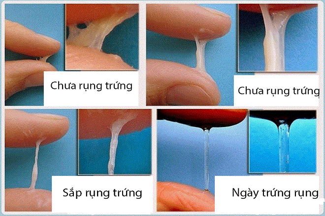chất nhầy