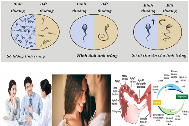 Yếu tố thụ thai