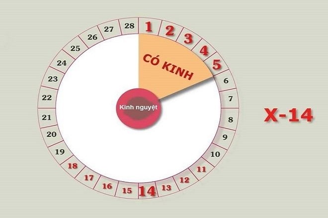 Theo kinh nguyệt