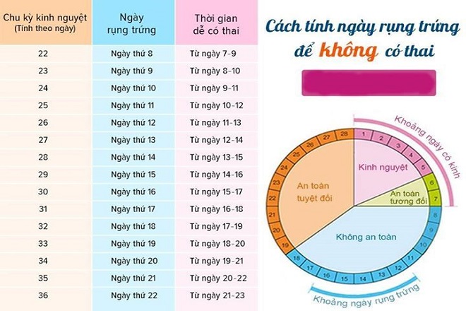 Thụ thai nhờ ngày rụng trứng