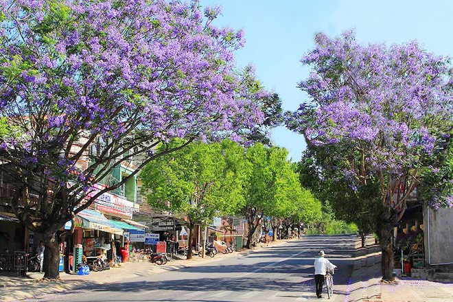 đà lạt