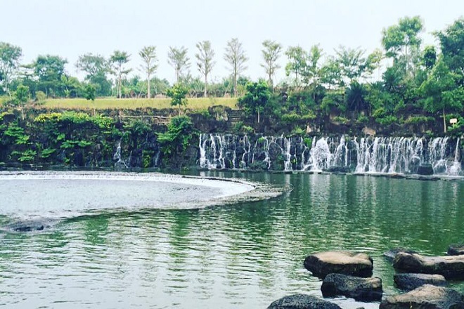 suối mơ