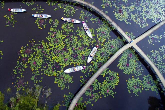 lang noi