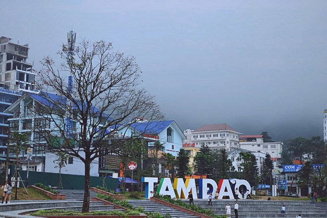 tam đảo